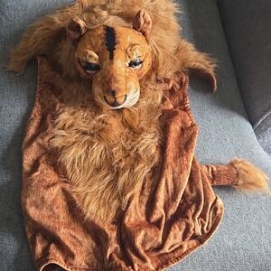 Lion Kids Costume